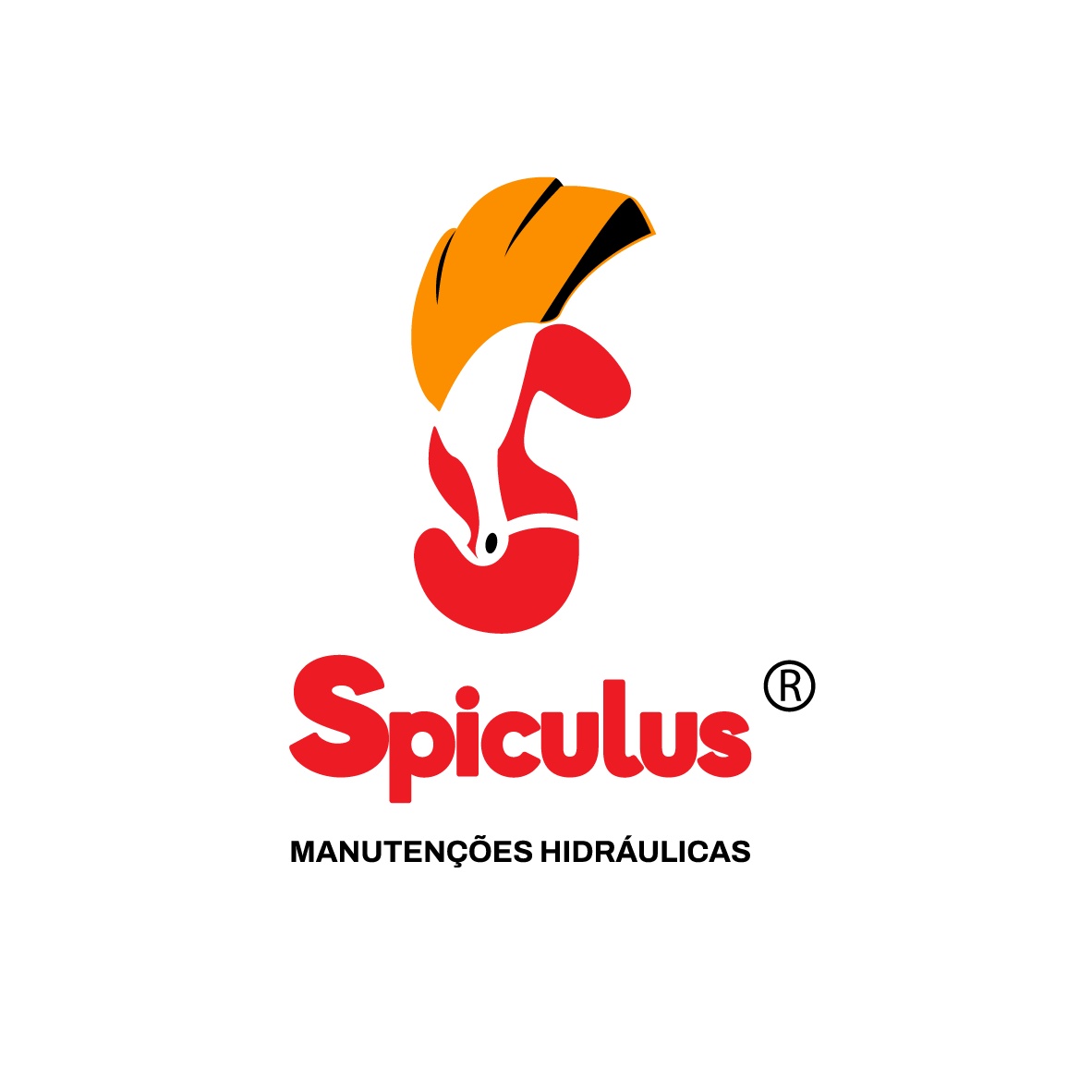 Spiculus Manutenções Hidráulicas